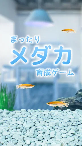 まったりメダカ育成ゲーム