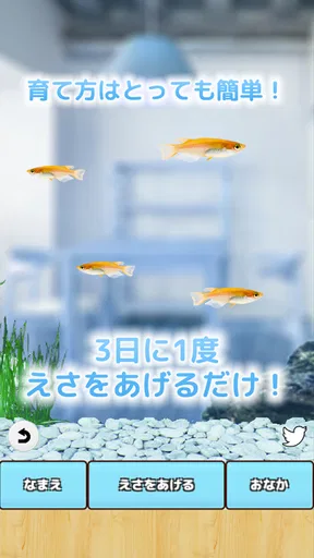 まったりメダカ育成ゲーム