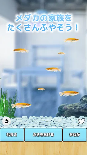 まったりメダカ育成ゲーム