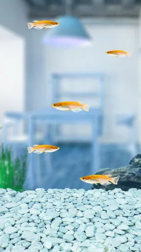 まったりメダカ育成ゲーム