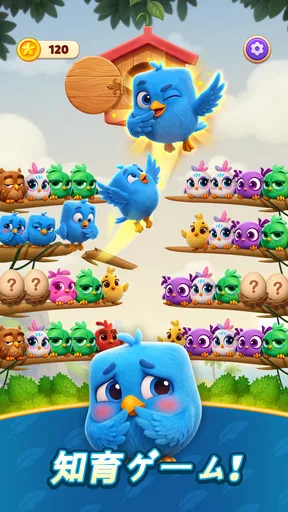 Chirpy Sort: Bird Color Puzzle