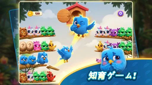 Chirpy Sort: Bird Color Puzzle