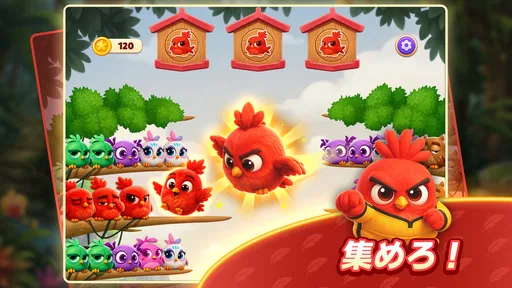 Chirpy Sort: Bird Color Puzzle