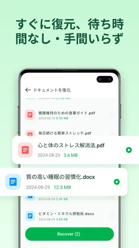 File Recovery Master