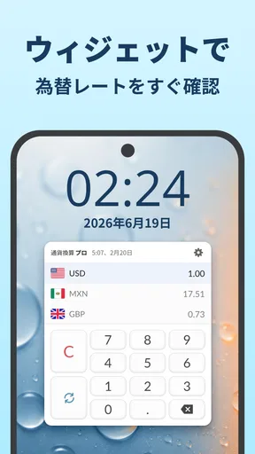 通貨換算プラス