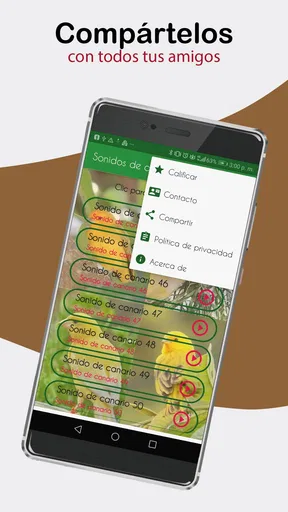 Sonidos de Canarios. Cantos.