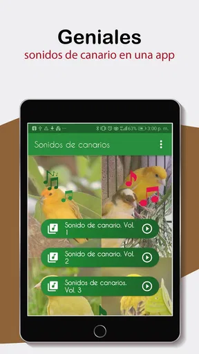 Sonidos de Canarios. Cantos.