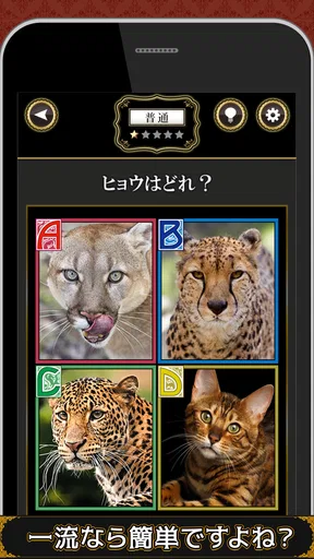全国共通格付けチェック