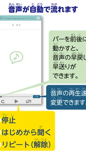 きくもん