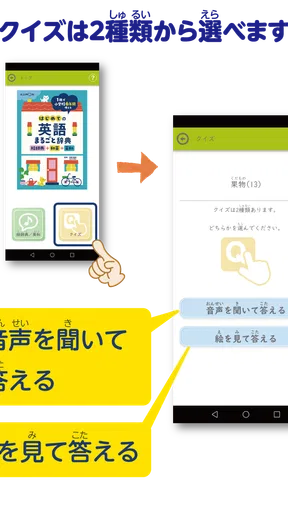 きくもん