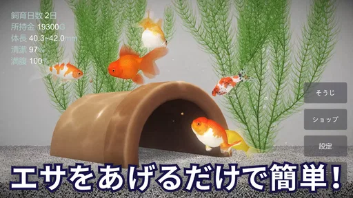 金魚育成アプリ・ポケット金魚