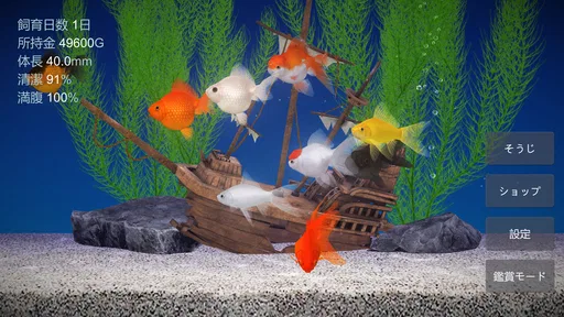 金魚育成アプリ・ポケット金魚