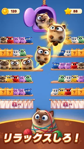 Meow Sort-Color Puzzle Master