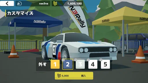 N3Rally