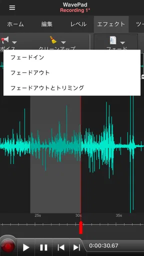 WavePad音声編集アプリ [JP]