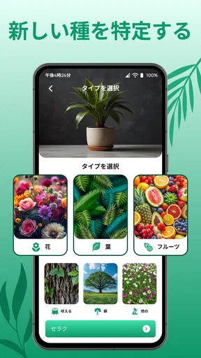 花の名前を調べる: しょくぶつ図鑑 - 樹木判別