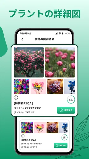 花の名前を調べる: しょくぶつ図鑑 - 樹木判別