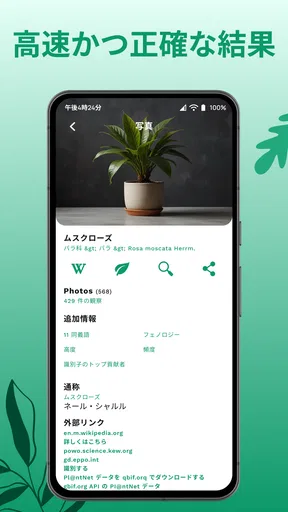 花の名前を調べる: しょくぶつ図鑑 - 樹木判別