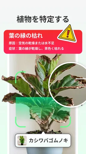 LeafCheck:植物識別とケア