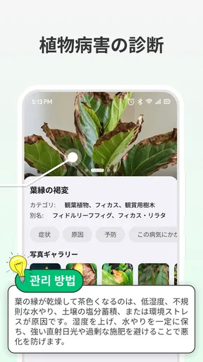 LeafCheck:植物識別とケア