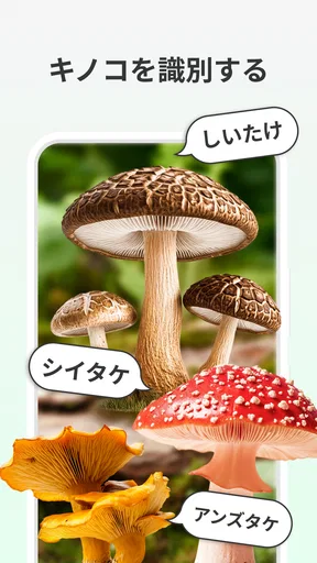 LeafCheck:植物識別とケア