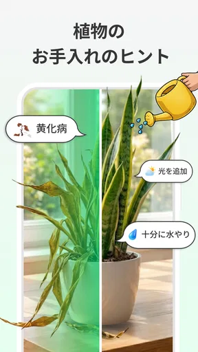 LeafCheck:植物識別とケア