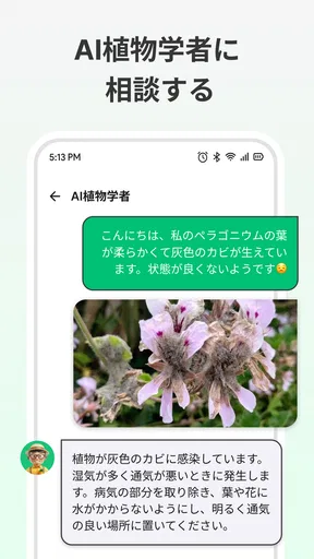 LeafCheck:植物識別とケア