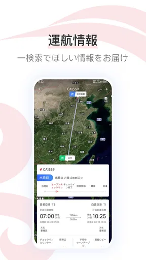 エアチャイナ(Air China)