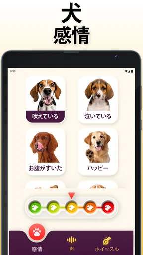犬語翻訳アプリ: 犬の言葉がわかるアプリ