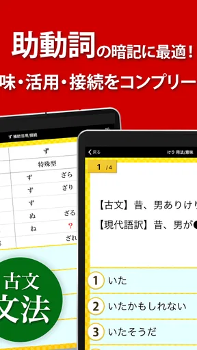 古文・漢文（古文単語、古典文法、漢文）