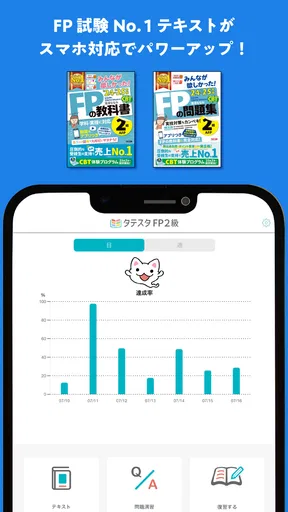 タテスタFP2級