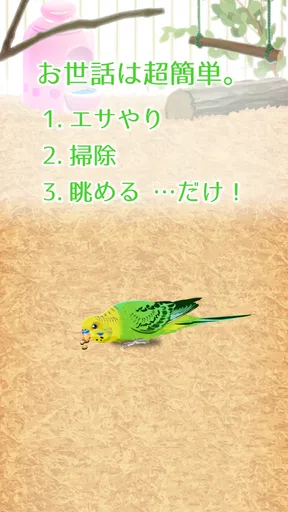 癒しのインコ育成ゲーム