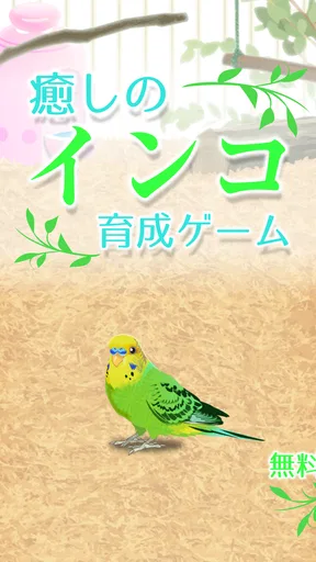 癒しのインコ育成ゲーム