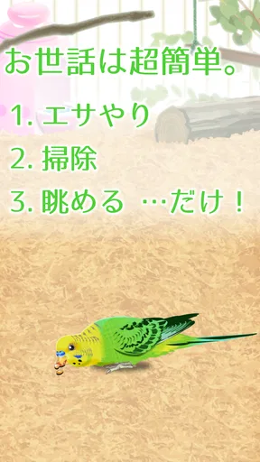 癒しのインコ育成ゲーム