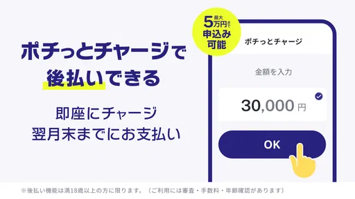 バンドルカード:Visaカードに後払いチャージ!Visa対応