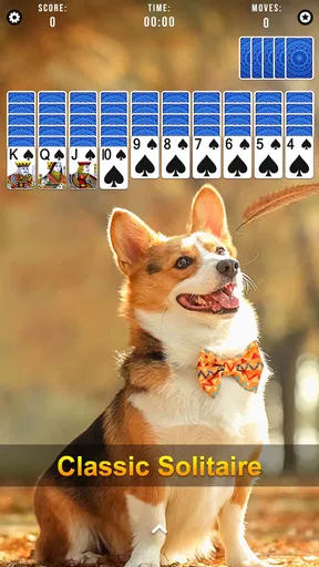 Spider Solitaire
