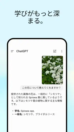ChatGPT