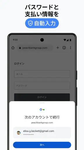Google Chrome