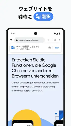 Google Chrome