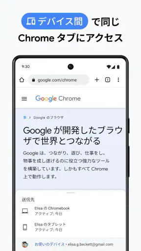 Google Chrome