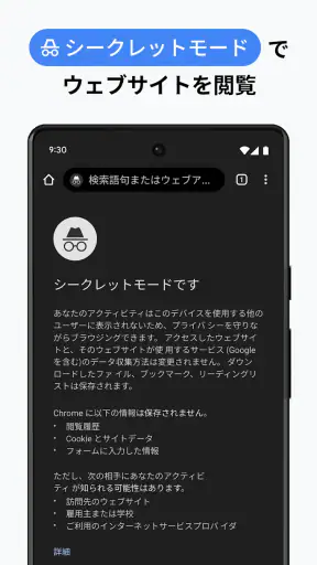 Google Chrome