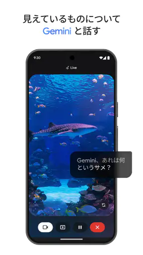 Google Gemini