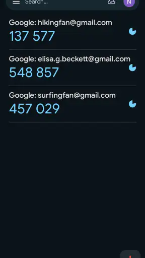 Google 認証システム