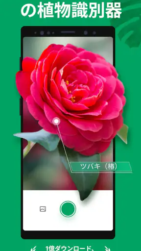 PictureThis:撮ったら 1秒でわかる 植物図鑑