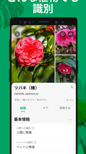 PictureThis:撮ったら 1秒でわかる 植物図鑑