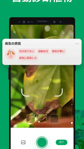 PictureThis:撮ったら 1秒でわかる 植物図鑑
