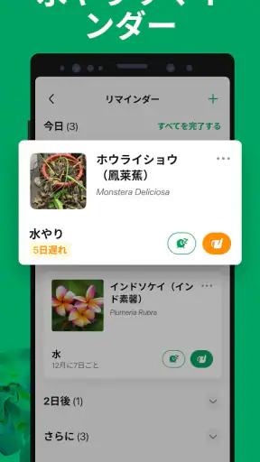 PictureThis:撮ったら 1秒でわかる 植物図鑑