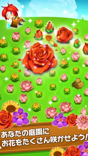 ブロッサム・ブラスト