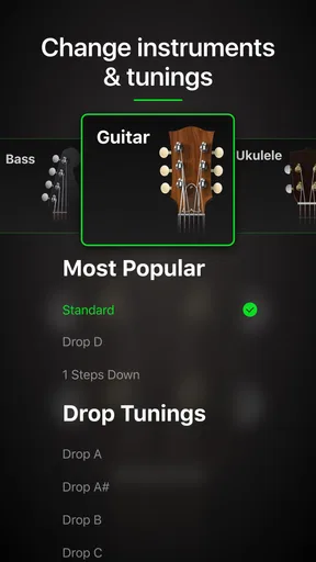 Guitar Tuner Pro: Music Tuning