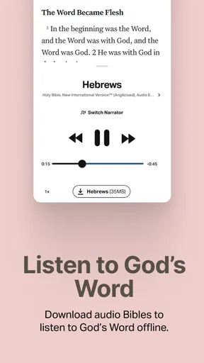 Holy Bible Offline NIV KJV App